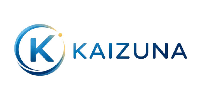 Kaizuna — Consultoría de negocios y sistemas